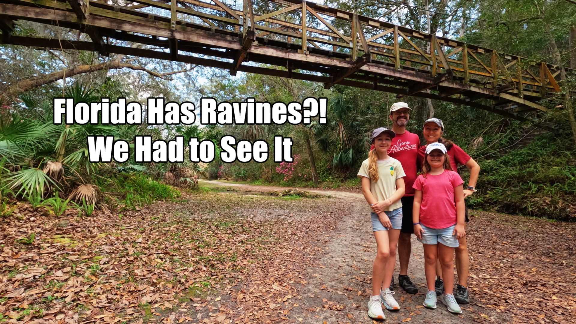 Florida Has Ravines?! We Had to See It | Ravine Gardens State Park | Palatka, FL